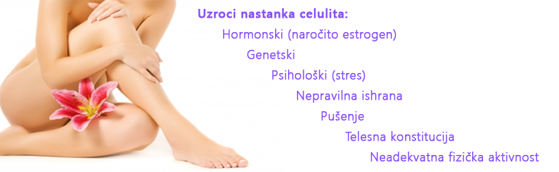 Celulit dr Slavica Stefanovic Holistic