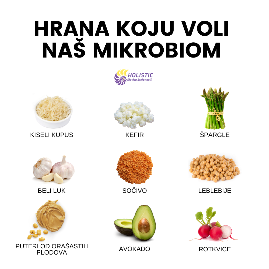 mikrobiom holistic dr slavica