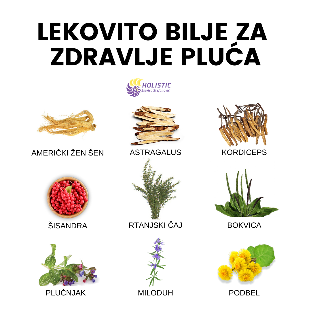 zdravlje pluca dr slavica